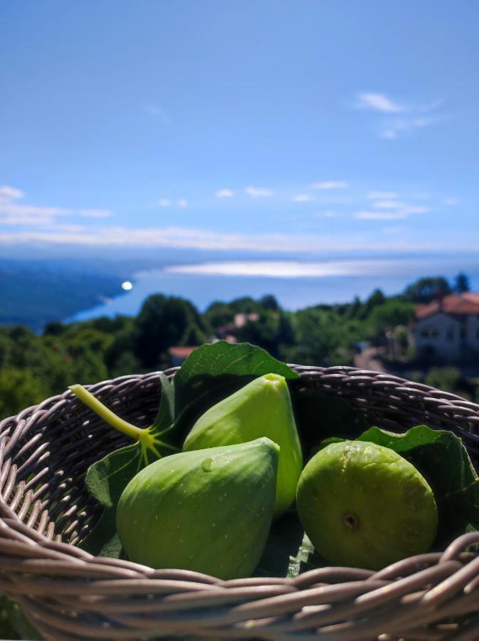Uphill Opatija Apartment Buitenkant foto